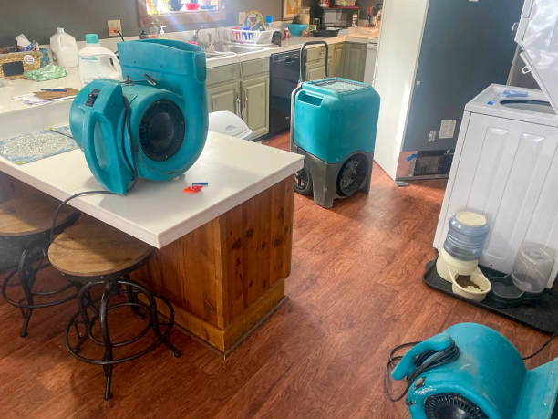 Trusted Orosi, CA Water damage restoration Experts