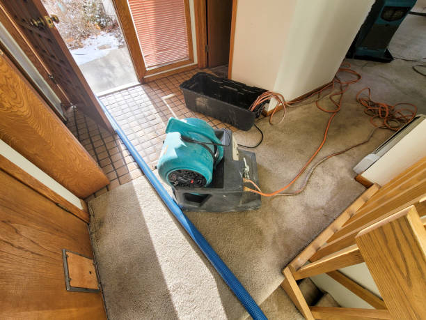 Orosi, CA Water damage restoration Company