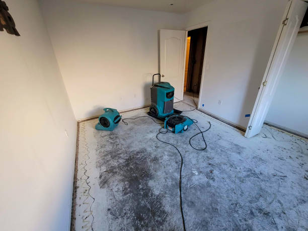Best Mold removal after water damage  in Orosi, CA